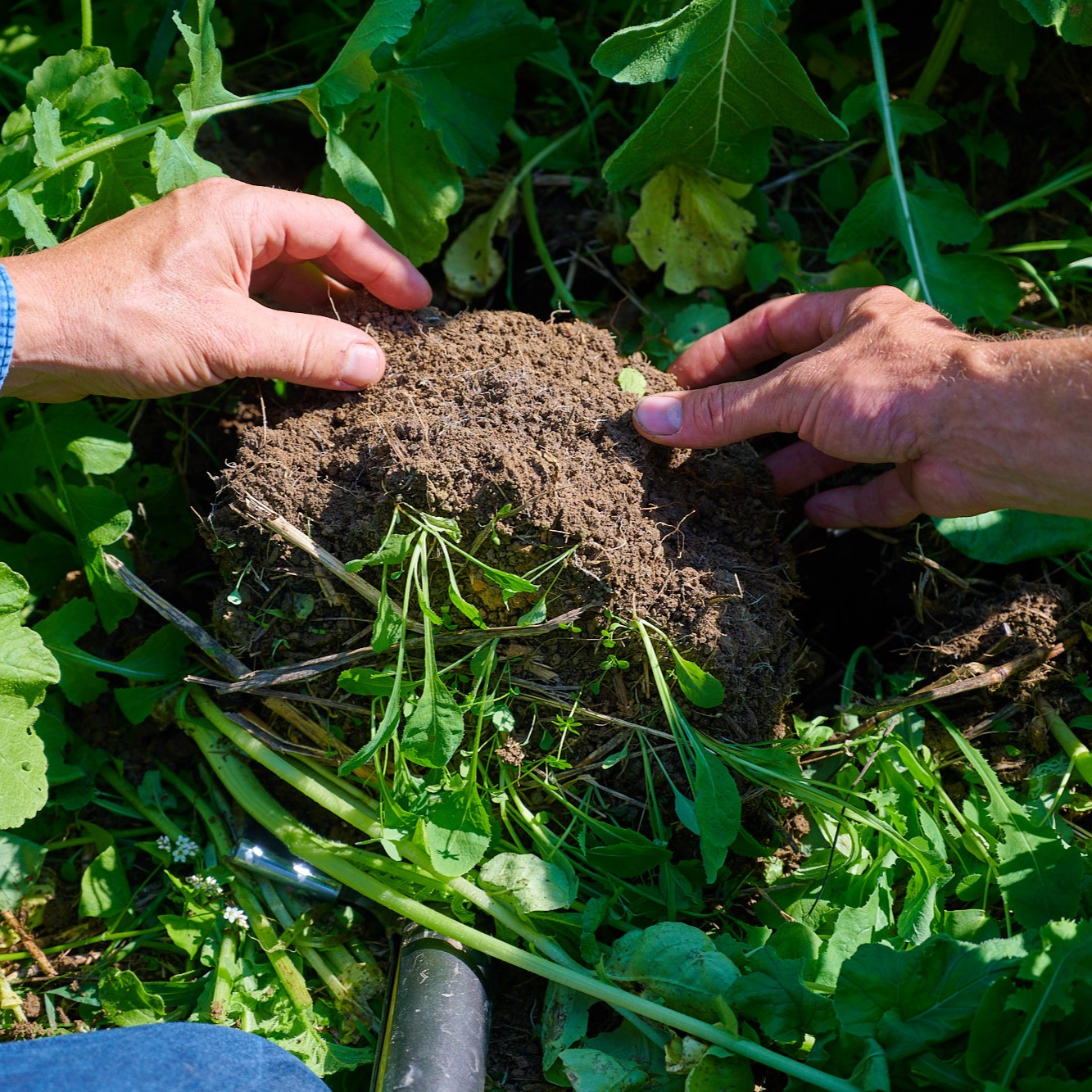 Workshop "Geschmack braucht Boden"